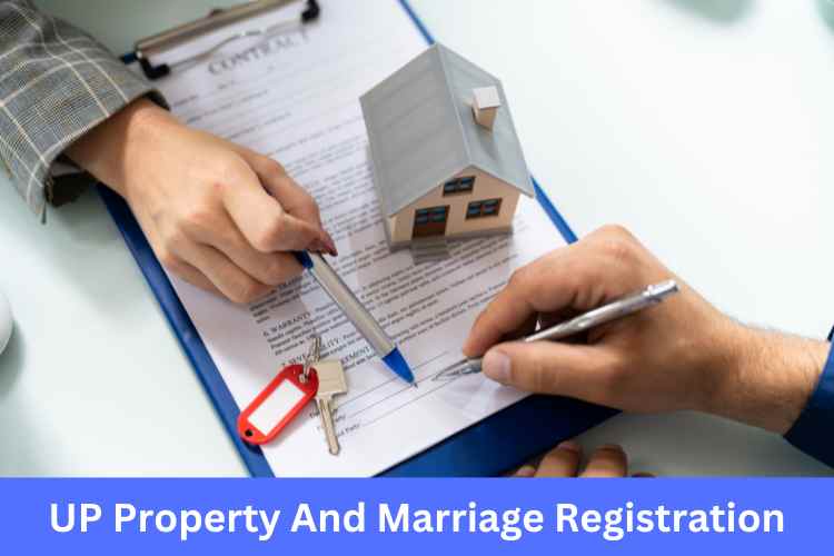 UP Property And Marriage Registration- Know in Detail - Academized Me
